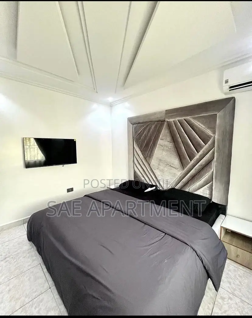 Pleasing Two Bedroom Apartment, Wuse 2 Abuja