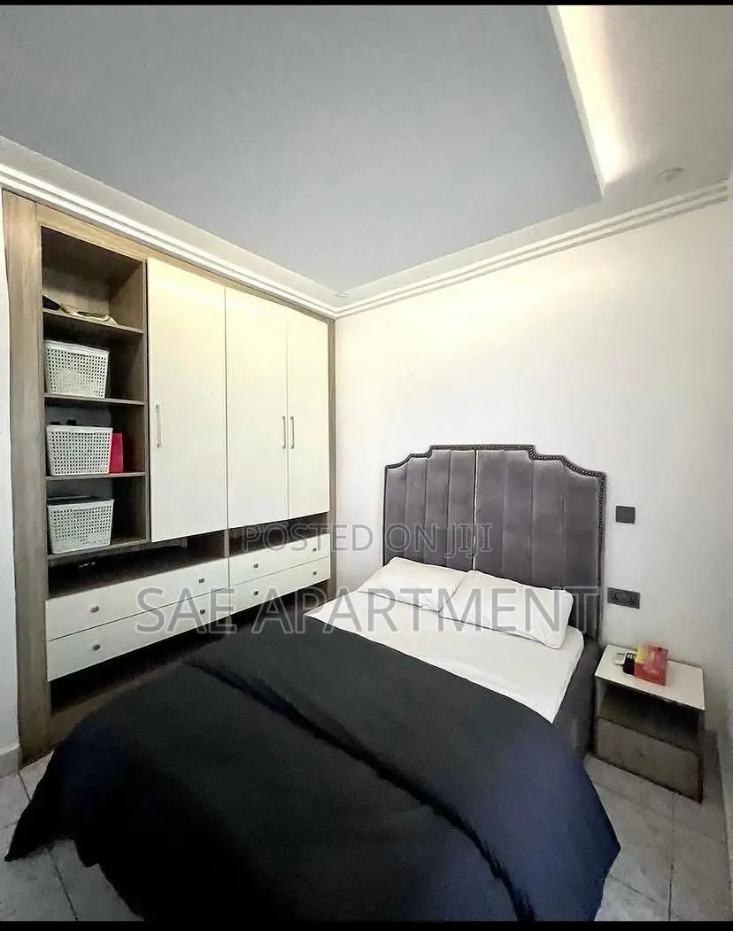 Pleasing Two Bedroom Apartment, Wuse 2 Abuja