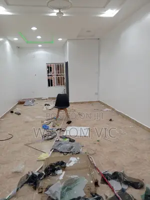 Painting and Screeding Professionally