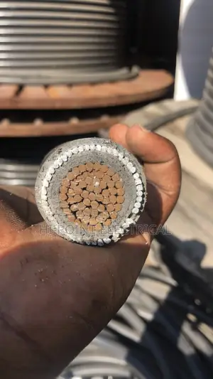 Armored Single Cables (Swa)