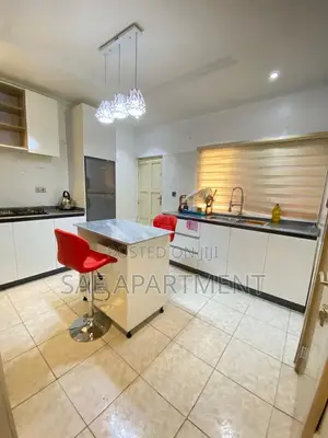 Appealing One Bedroom Apartment, Wuse 2 Abuja