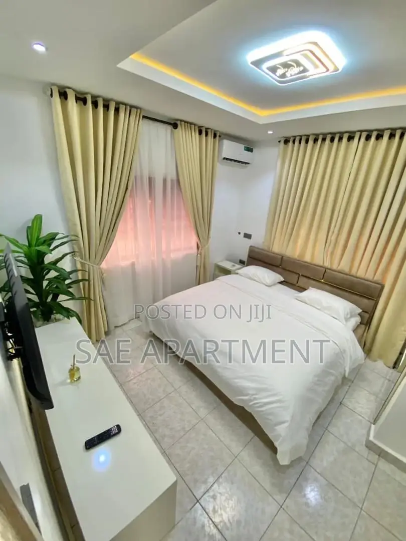 Appealing One Bedroom Apartment, Wuse 2 Abuja