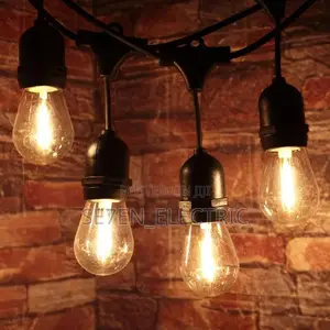 Garden Rope Light