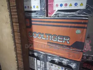 Cooltiger Battery 12v100ah Original