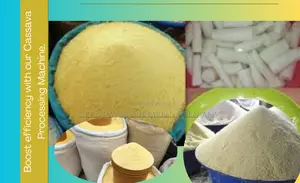 High-quality 60bags Per Day Garri Processing Machine
