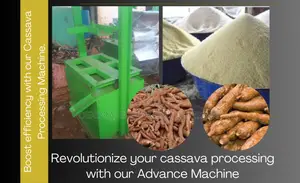 Top Garri Machine Of 200kg/Hr Capacity 60bags Of 50kg/Day