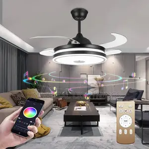 Executive Fan and Led Lights