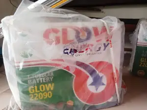 Glow Tubular Battery 220ah