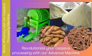 200kg/Hr Garri Processor With Premium Quality and Output