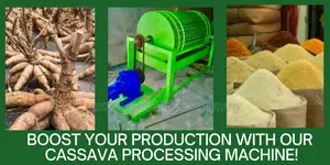200kg/Hr Complete Garri Processing Excellent Machinery