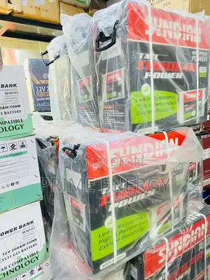 12v/230ah Syndian Battery