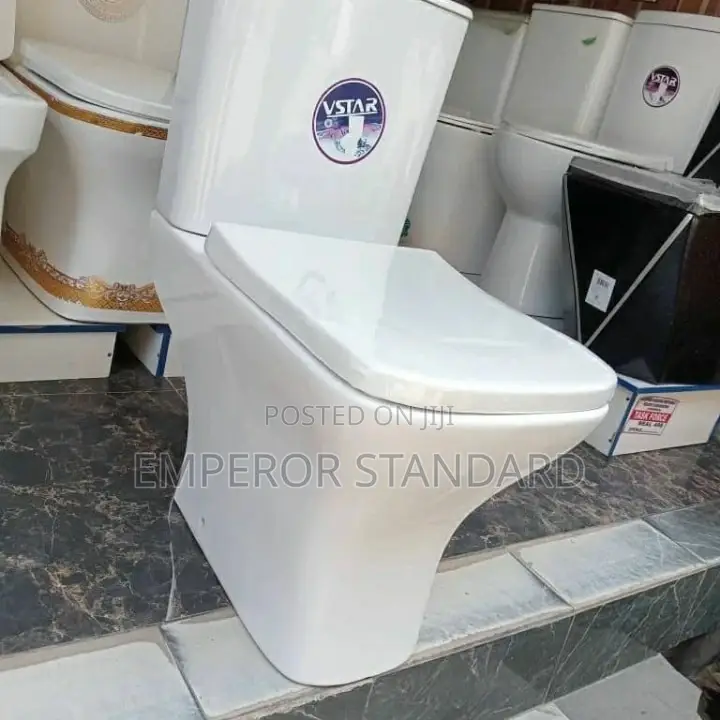 Executives Complete Set Wc Bathroom Toilet