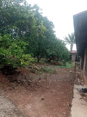Photo - Empty Plot
