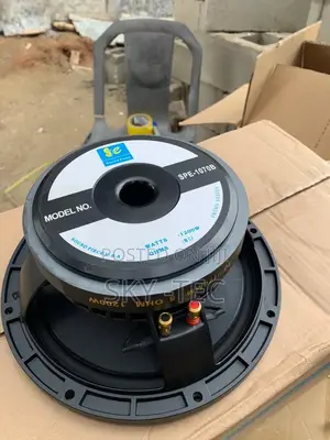 Original Sound Piece 10inches 1300watts Big Magnet 8ohms Naked Speaker