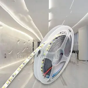 Strip Light 12v 10meter