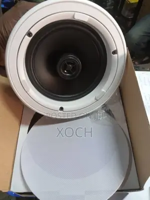 Ceiling/Pop Speaker