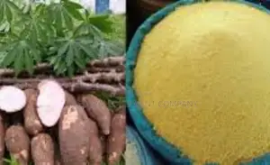 Maximize Your Garri Output With 60bags of 50kg Per Day