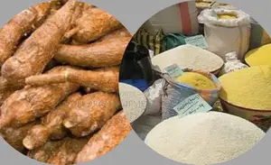 Transform Your Garri Production Output Today