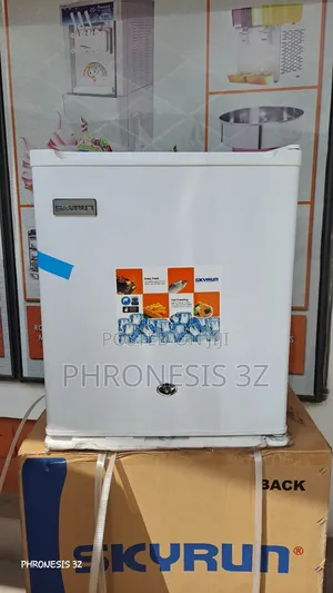 Skyrun 55L Bed Side Refrigerator BCD-55A