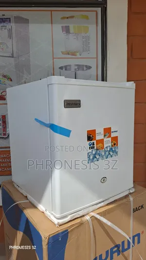 Skyrun 55L Bed Side Refrigerator BCD-55A