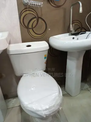 Toilet Sink