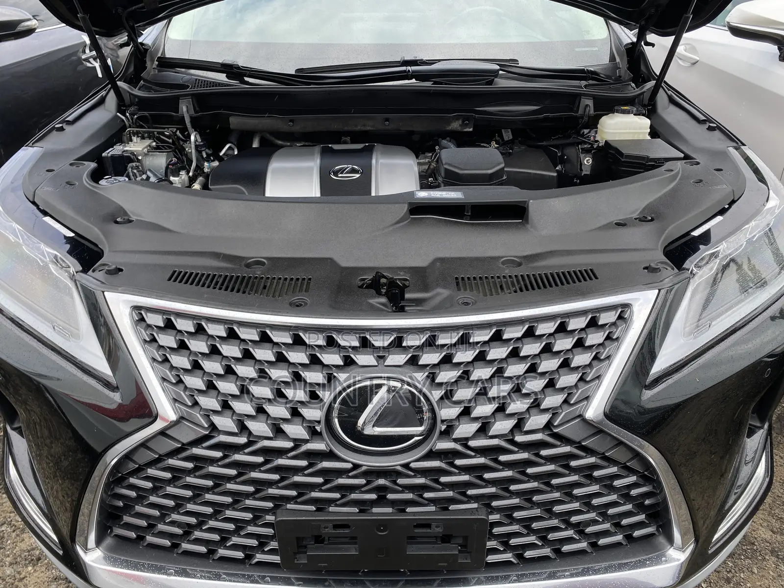 Lexus RX 2022 Black