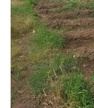 800sqm Fenced Land at Victoria Garden City Lekki Lagos