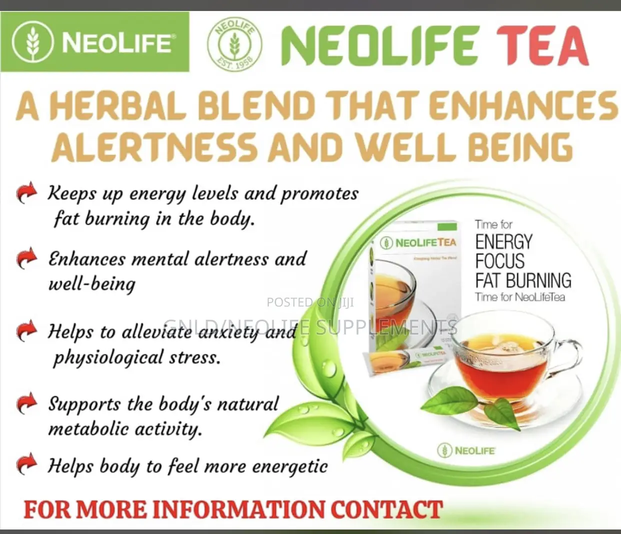 Gnldneolifetea