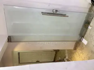 Frameless Door