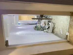Frameless Door