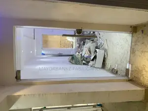 Frameless Door