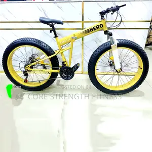 Foldable Road Fat Tyre Bicycle With Spoke Rims