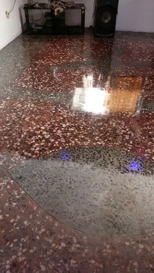 Tarazo Cleaning Polishing