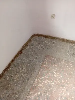 Tarazo Cleaning Polishing