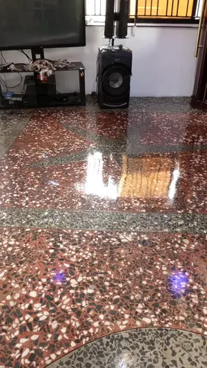 Tarazo Cleaning Polishing