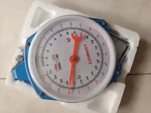 Hanging Scale