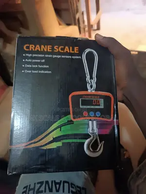 Crane Scale