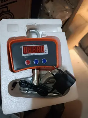 Crane Scale