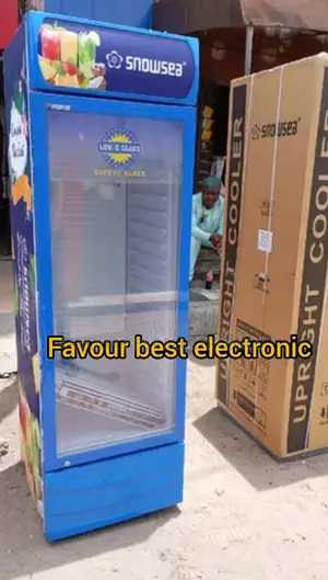 New Snowsea 4 Steps Powerful Freezing Standing Chiller 2yrs