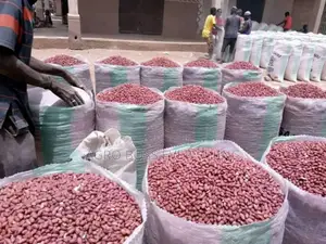 Groundnut Available in Bags and Trailer