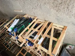 All Kinds of Windscreen Glass for All Cars