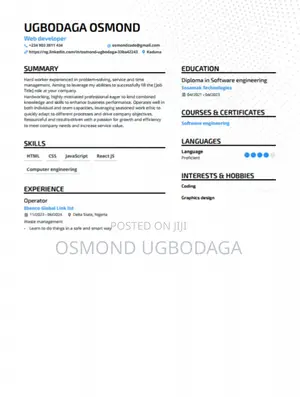 Web Developer