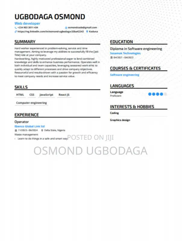 Web Developer