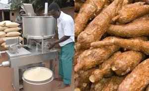 Advanced Garri Processing Machine For Nigerian Markets