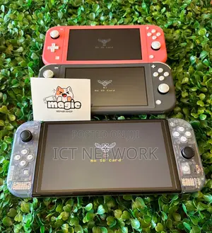 Professional Nintendo Switch Modding Service Available Now