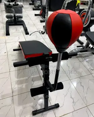 Situp Bench With Spring Ball