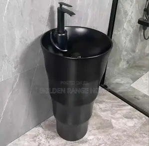 Photo - Black Stand Alone Basins