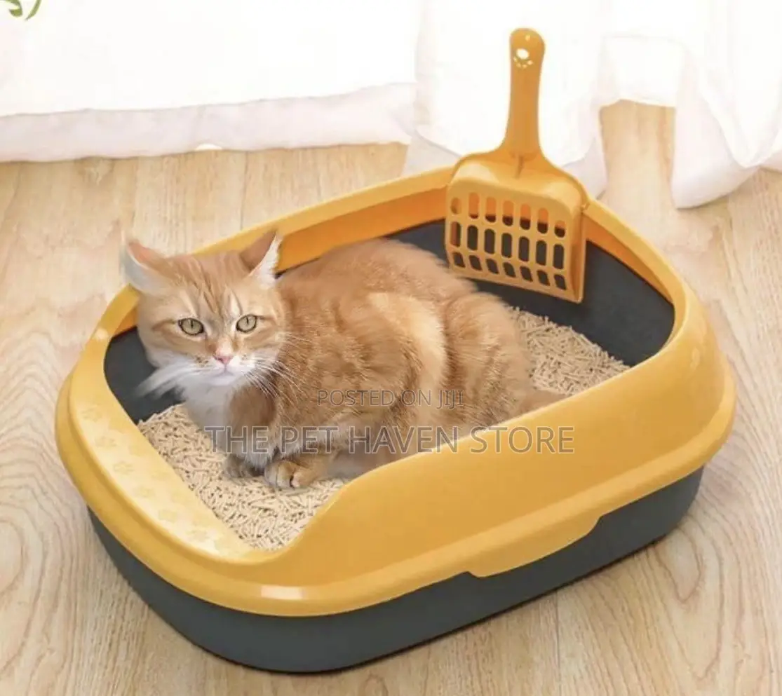 Cat Liter Box