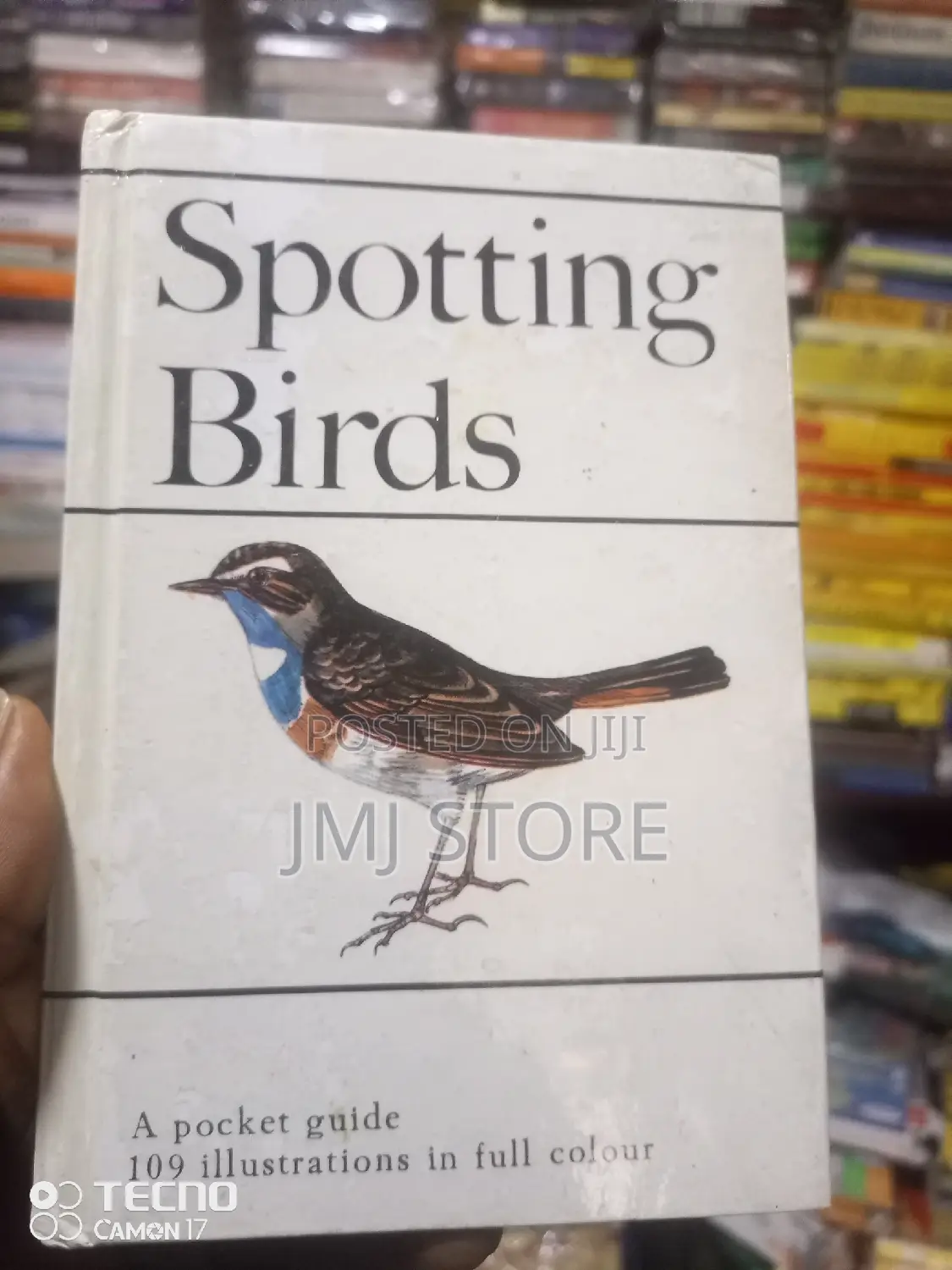 Sporting Bird