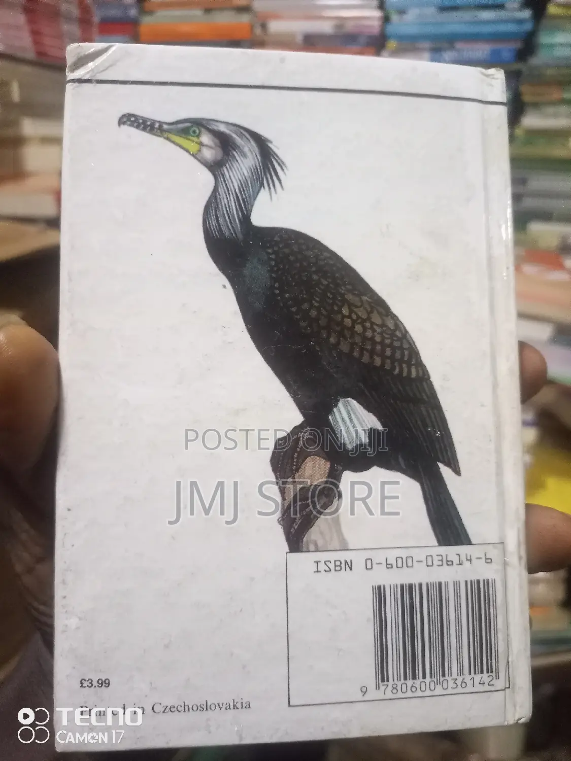 Sporting Bird